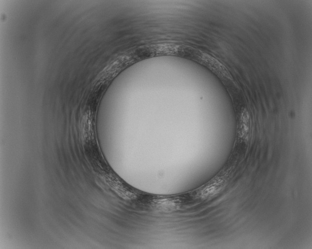 X0000057100522200509301620