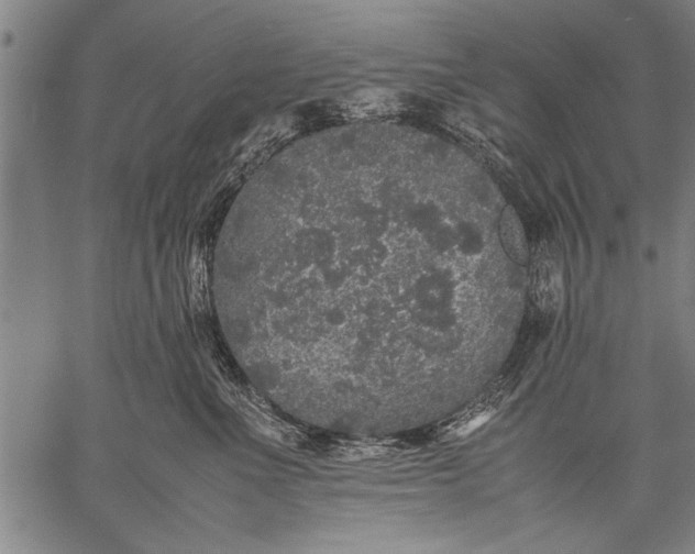 X0000057100523200509301620