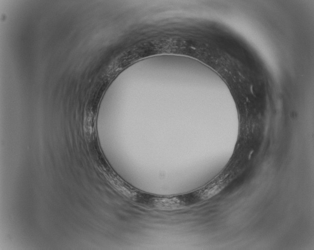 X0000057100525200509301620