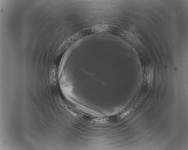 X0000057100526200509301620