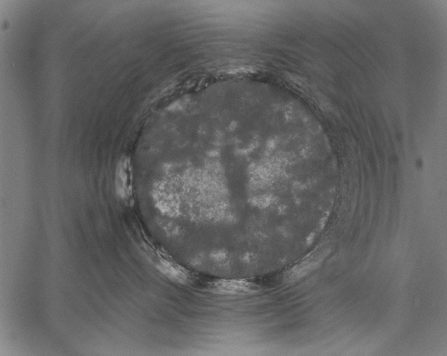 X0000057100528200509301620