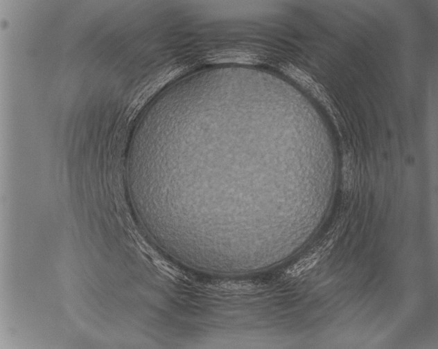 X0000057100529200509301619