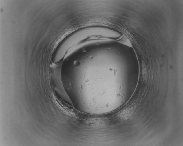 X0000057100530200509301619