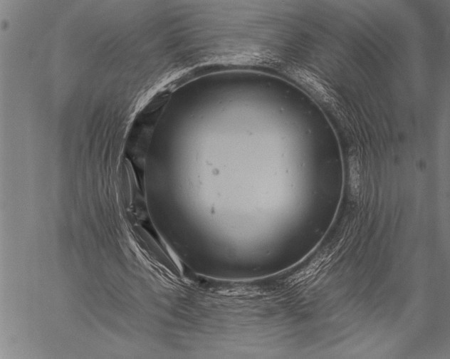 X0000057100532200509301619