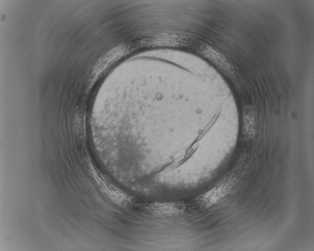 X0000057100534200509301619