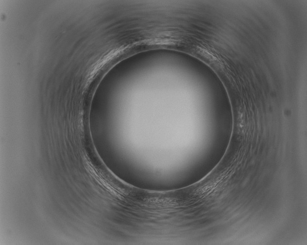 X0000057100535200509301619