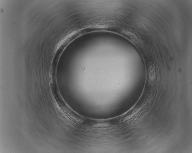 X0000057100536200509301619