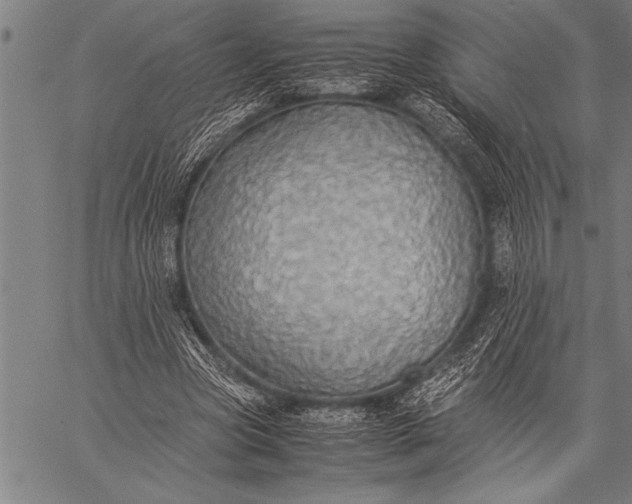 X0000057100537200509301619