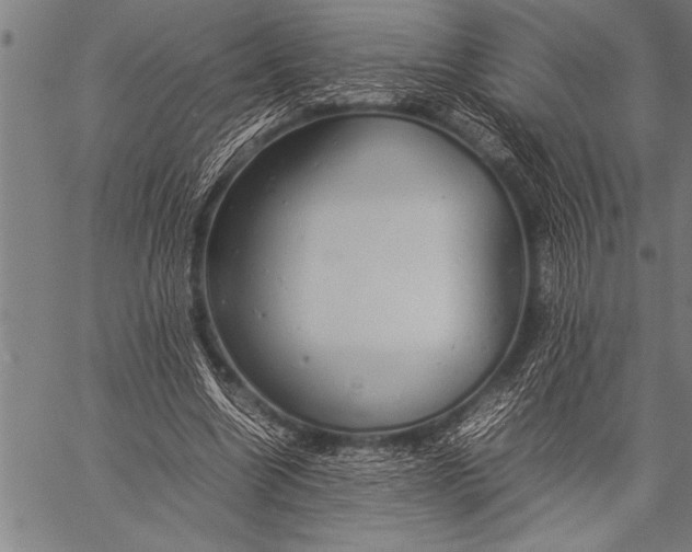 X0000057100538200509301619