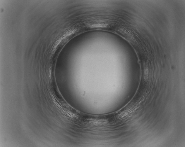 X0000057100539200509301619