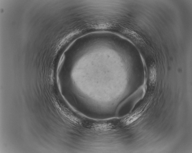 X0000057100540200509301619