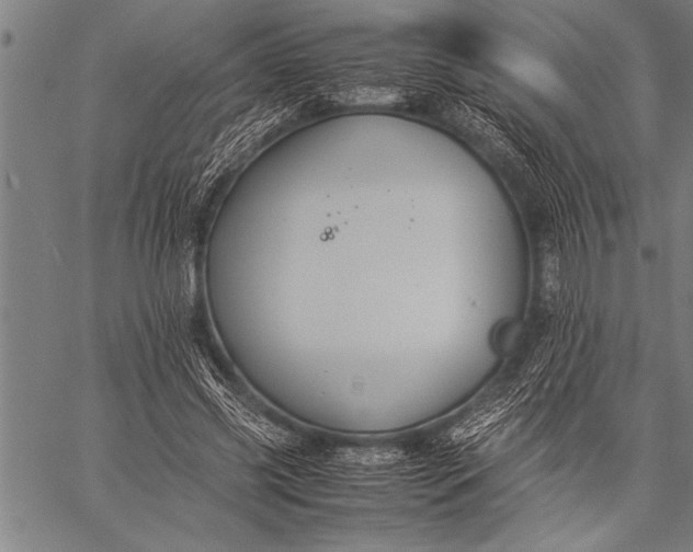 X0000057100541200509301619