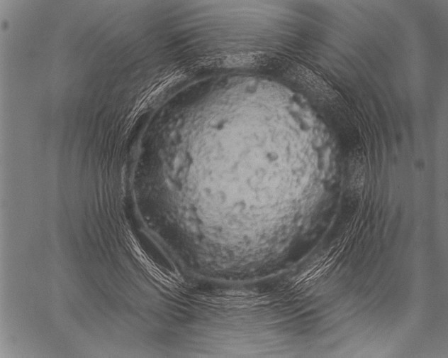 X0000057100542200509301619