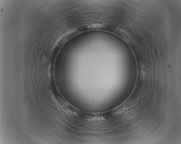 X0000057100543200509301619