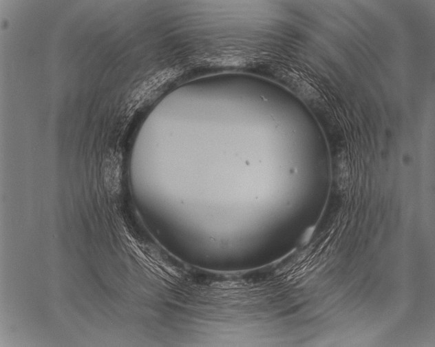 X0000057100544200509301619