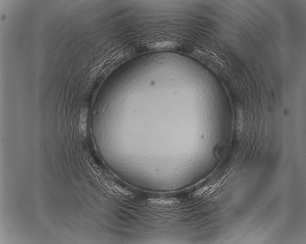 X0000057100545200509301619