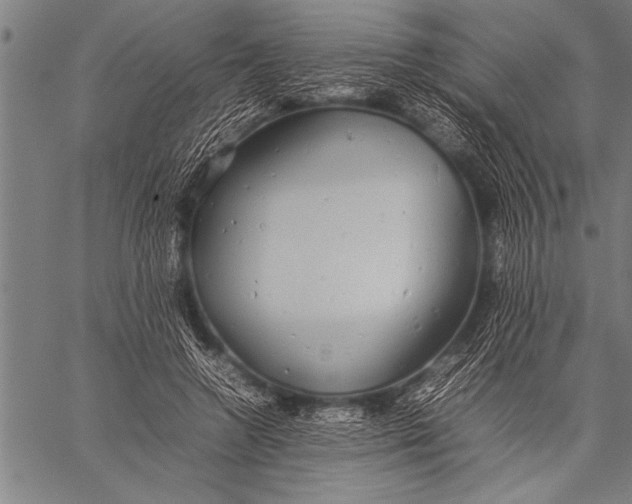 X0000057100546200509301619