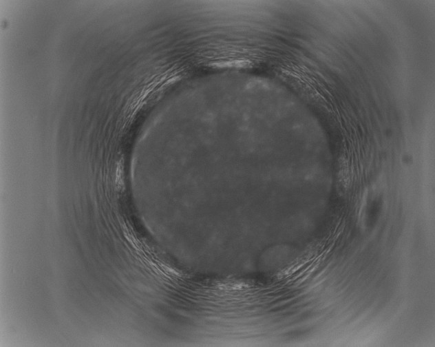 X0000057100547200509301619