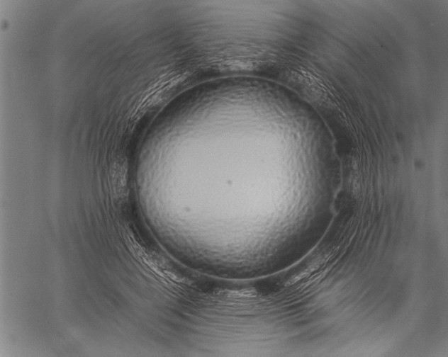 X0000057100548200509301619