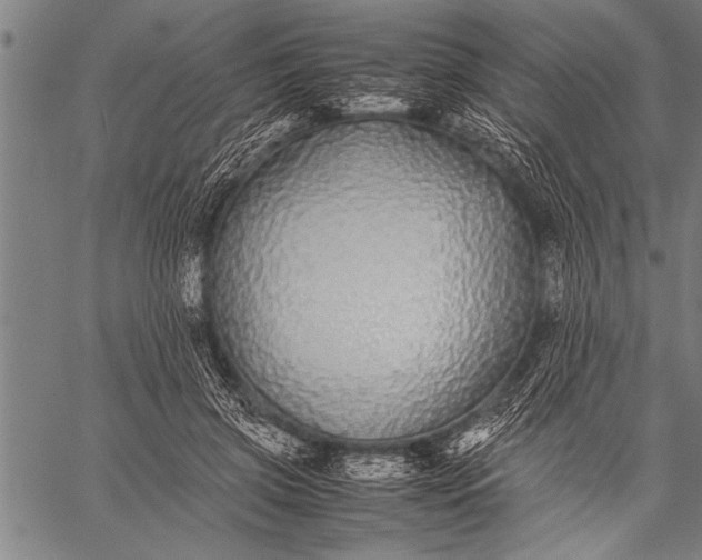 X0000057100549200509301619