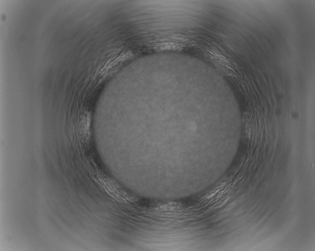 X0000057100550200509301619