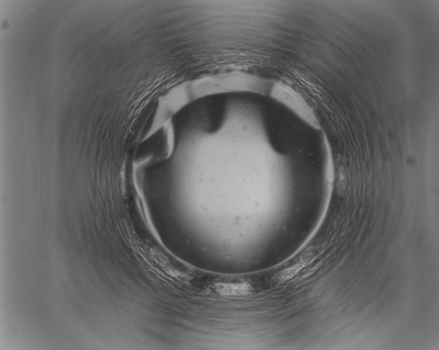 X0000057100552200509301620