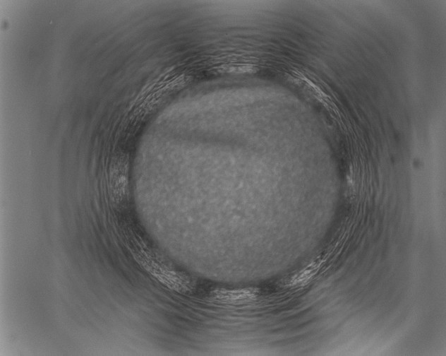 X0000057100553200509301620