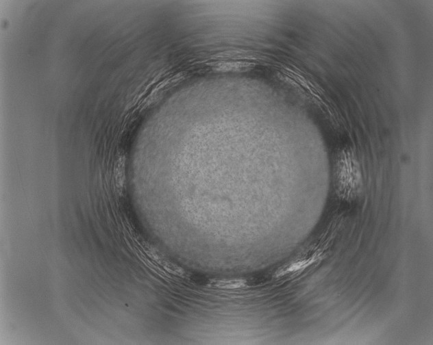 X0000057100554200509301620