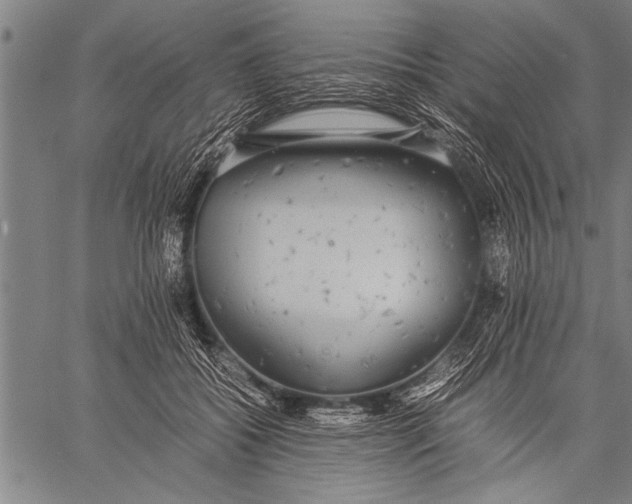 X0000057100556200509301620