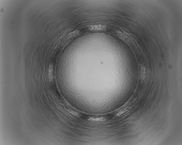 X0000057100557200509301620