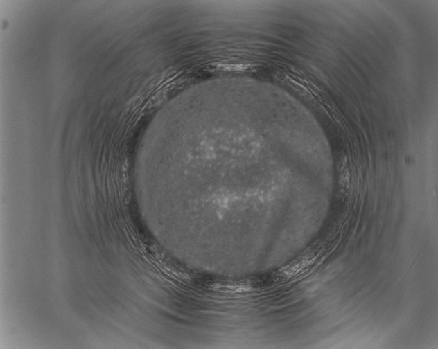 X0000057100559200509301620