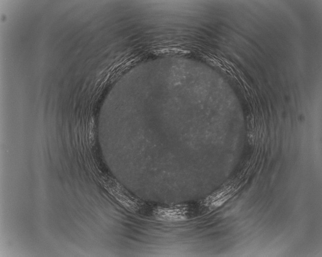 X0000057100563200509301620