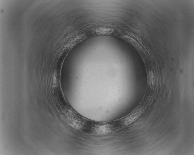 X0000057100564200509301620