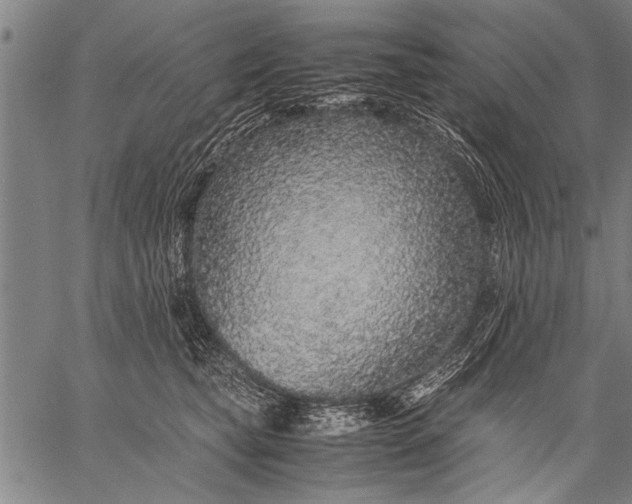 X0000057100565200509301620