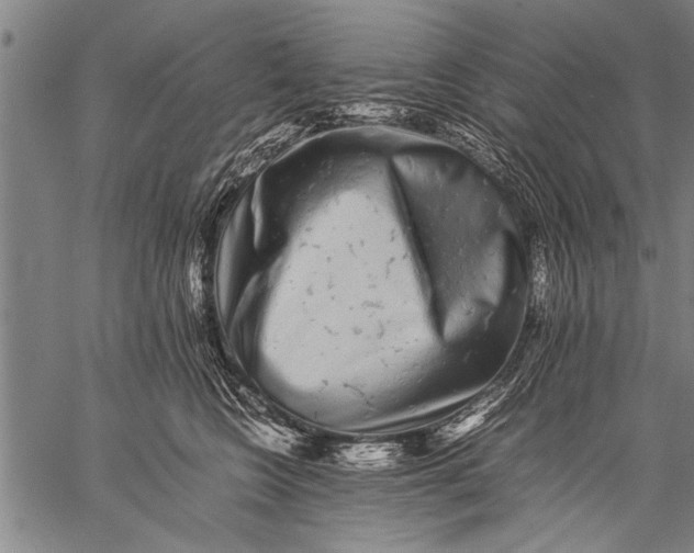 X0000057100566200509301620