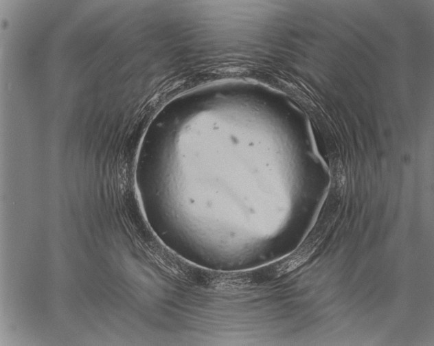 X0000057100568200509301620