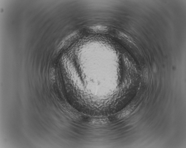 X0000057100571200509301620