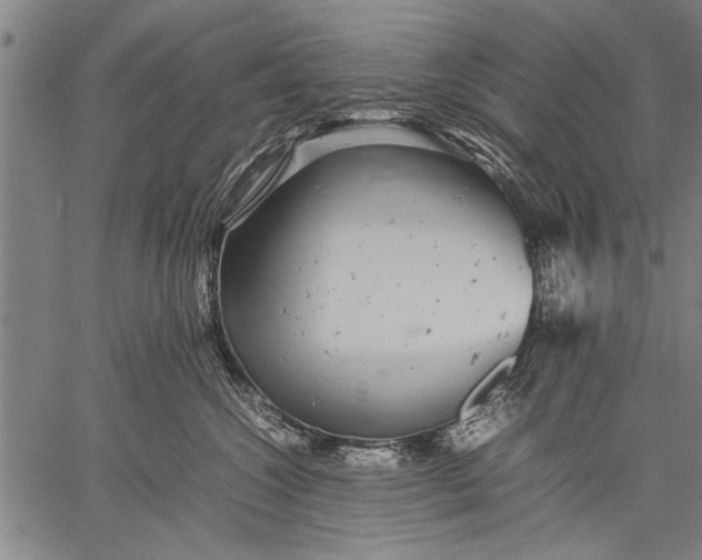 X0000057100572200509301620