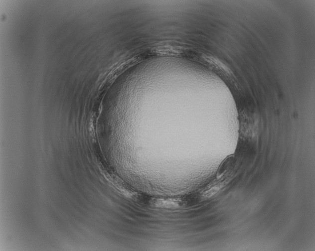 X0000057100573200509301620