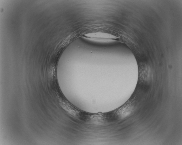 X0000057100574200509301620