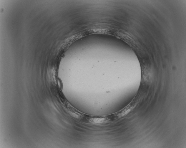 X0000057100575200509301620