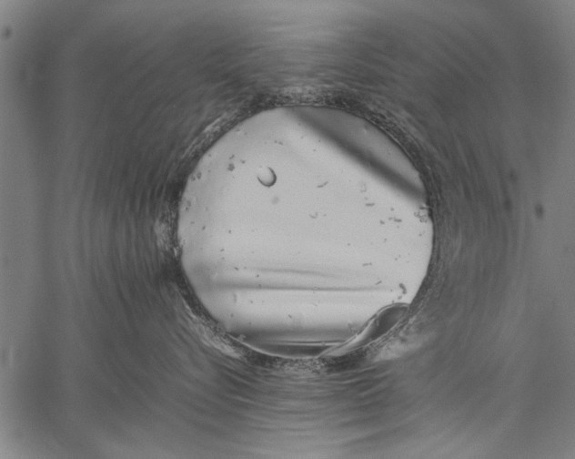 X0000057100576200509301620