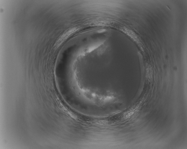 X0000057100577200509301619