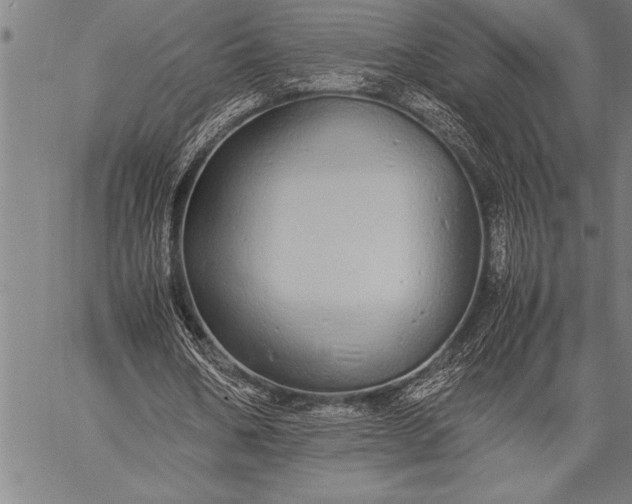 X0000057100578200509301619