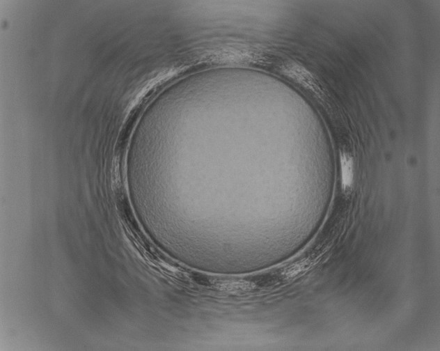 X0000057100579200509301619