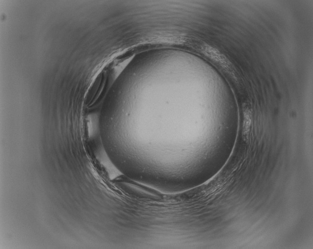 X0000057100580200509301619