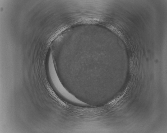 X0000057100581200509301619