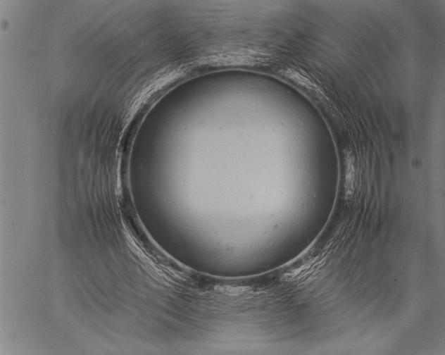 X0000057100582200509301619