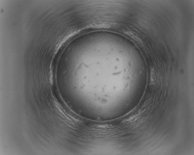 X0000057100584200509301619