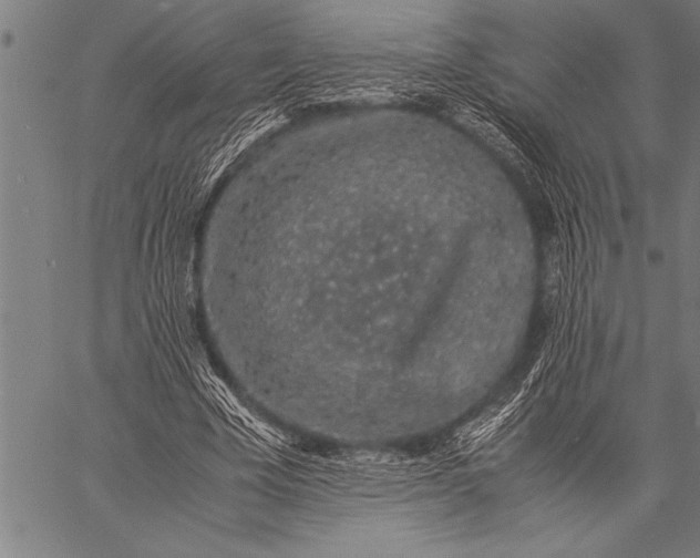 X0000057100585200509301619